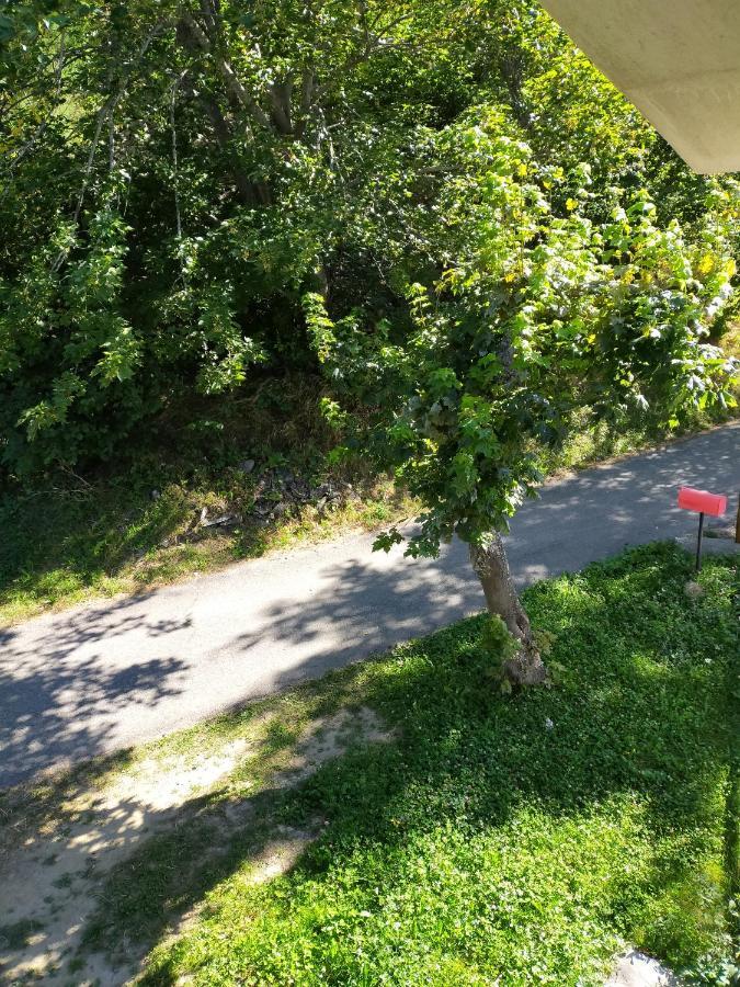La Misun De Ciafre Bed and Breakfast Casteldelfino Εξωτερικό φωτογραφία